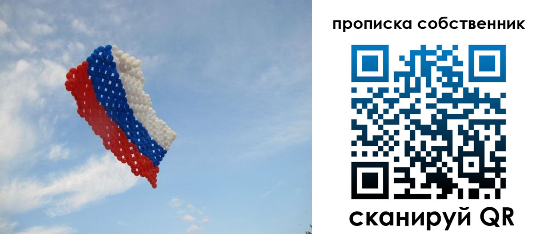 временная регистрация поиск в Невеле